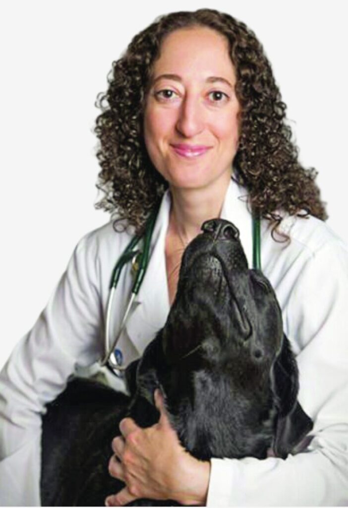 Jill L. Abraham, VMD, DACVD,